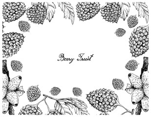 Hand Drawn Frame of Balloon Berries and Medinilla Fruits