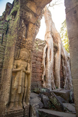 Fototapeta na wymiar carving of giant for entrance guard with tree root background at Preah Khan the stone temple in Angkor, Siem Reap , Cambodia