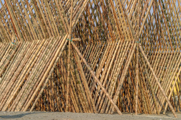 Bamboo drying in the sun being prepared for building material.