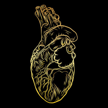 Heart in flesh tattoo concept. Anatomic human heart Symbol of love, Valentine's day heart t-shirt design. Vector