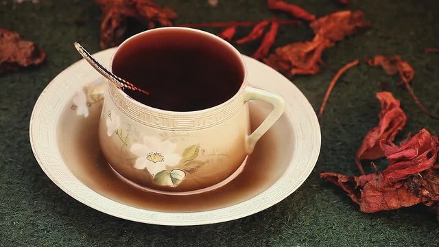 Morning English black tea footage