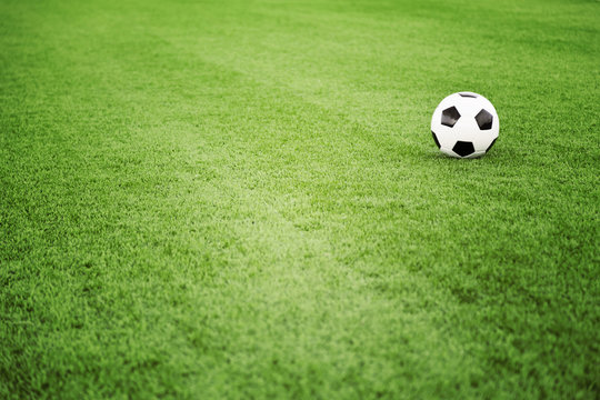Soccer ball on grass field