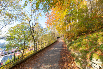 Beautiful autumn colors around a walking path in Bergen, Norway. 