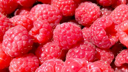 Raspberry ripe juicy aromatic and tasty natural