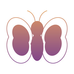 butterfly icon over white background, colorful design. vector illustration
