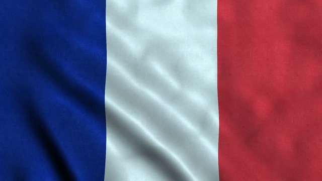 4K Seamless Loopable Flag of French Guyana