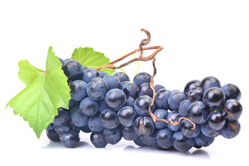 Grape fruit