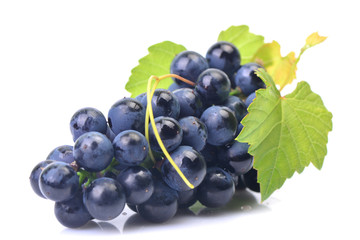 Grape fruit