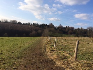 Naturlandschaft im Frühling