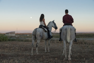 Pair mounting astride