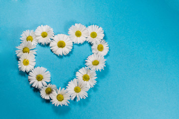 Heart made of white daisies.