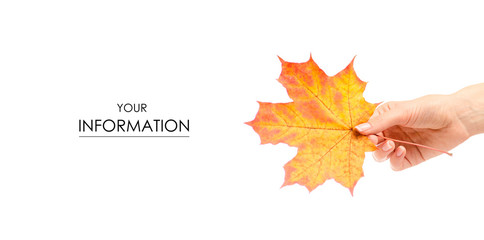 The autumn leaves in hand pattern