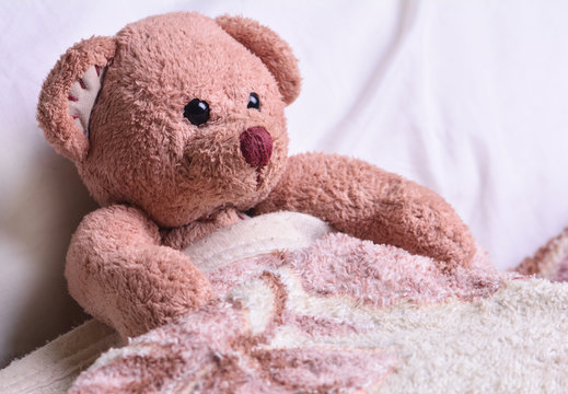Teddy bear cub in bed