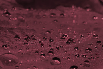 Morning dew on a close-up sheet. Macro. Toning in pantone color Tawny Port.