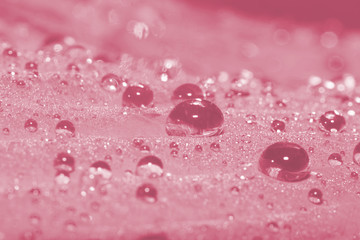 Morning dew. Macro. Toning in pantone color ballet slipper. © tvk888