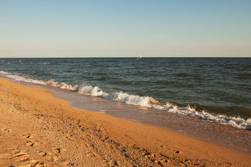 The sandy coast of the Black sea