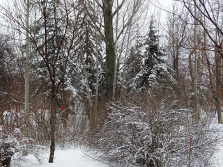 After a heavy snowfall