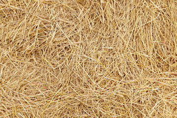 straw, dry straw, hay straw yellow background texture - obrazy, fototapety, plakaty