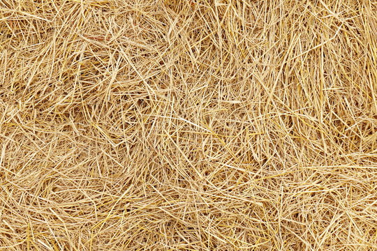 straw, dry straw, hay straw yellow background texture