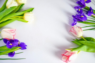 Colorful spring tulips and iris flowers on white background