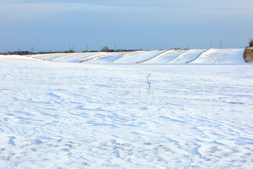 Naklejka premium Winter landscapes in depopulated fields and forests and roads of Eastern Europe. 