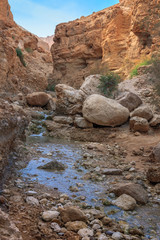 Bokek Stream