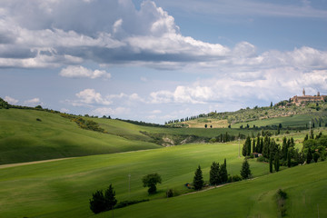 Fototapeta premium Pienza, Val d'Orcia, Tuscany, Italy. Spring landscape