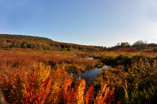 Beautiful Clear Crisp Fall Day Canaan Valley