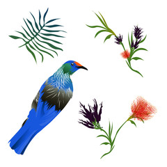 Tui Bird Vector and floral design elements