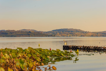 view of the lake of viverone in italy  / Lake Viverone is the third largest lake in Piedmont in...