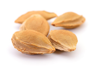 Apricot kernel isolated.