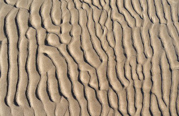 Foehr / Germany: Closeup of the texture of the dry fallen seabed in the Frisian Wadden Sea in the November sun