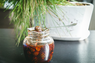 Home-made Jam made from pine cones, for improving immunity. Selective focus.