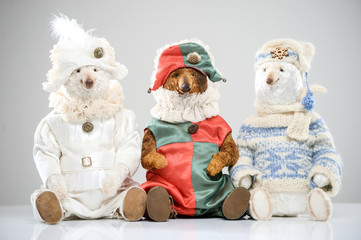 Woolen bears jester carnival sweater hat scarf toy