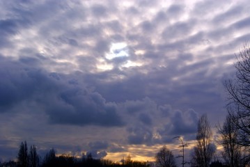 SONY DSC