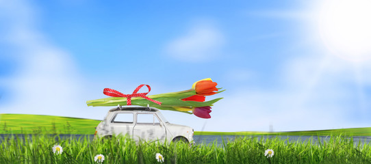 Kleines Auto mit bunte Tulpen.