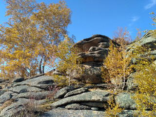 The autumn landscape with the big rock and yellow trees on the sunny day