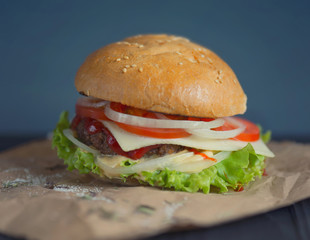 Burger as a background. Concept and idea of tasty food