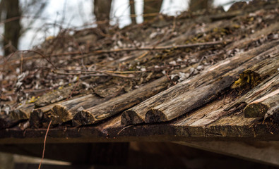 Wooden Roof