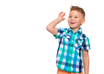 The little boy smiles. Portrait.