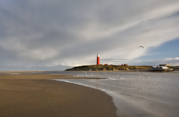 Fototapeta na wymiar seagulls over lighthouse on sea coast