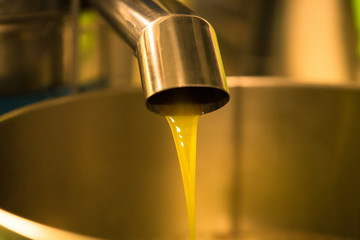 Processing of olive oil in a modern farm.
