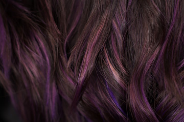 Naklejka premium Beautiful curvy violet and black hair. I photographed in the beauty salon during the work of the stylist. Stunning texture and wallpaper hair. Hair Background