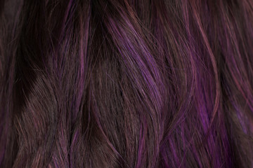 Naklejka premium Beautiful curvy violet and black hair. I photographed in the beauty salon during the work of the stylist. Stunning texture and wallpaper hair. Hair Background