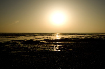 Foehr / Germany: View over the Frisian Wadden Sea near Witsum on the south side of the island in the golden afternoon sun