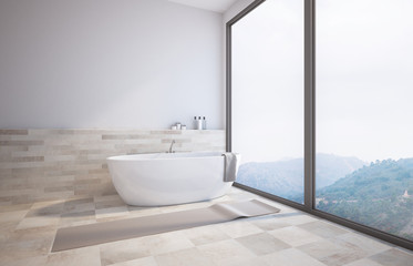 Panoramic white bathroom corner