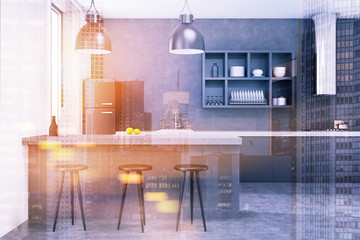 Gray kitchen interior toned