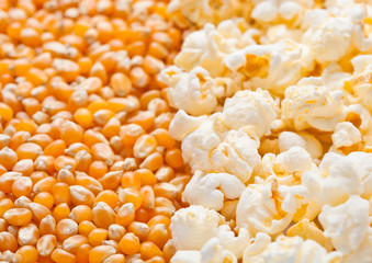 Raw golden sweet corn and popcorn seeds half plate