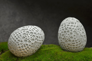 Easter decoration eggs moss catkins