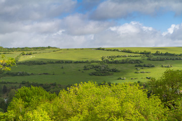 Obraz premium Green Agricultural Fields in Spring Time, France